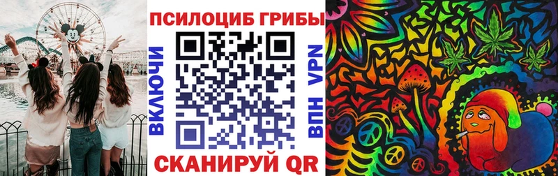 MEGA ТОР  Тында  Галлюциногенные грибы ЛСД 